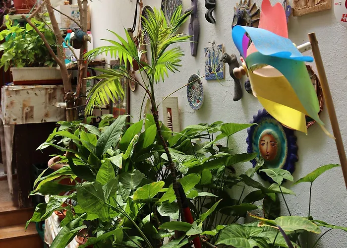 Stavros ゲストハウス Rhodes City